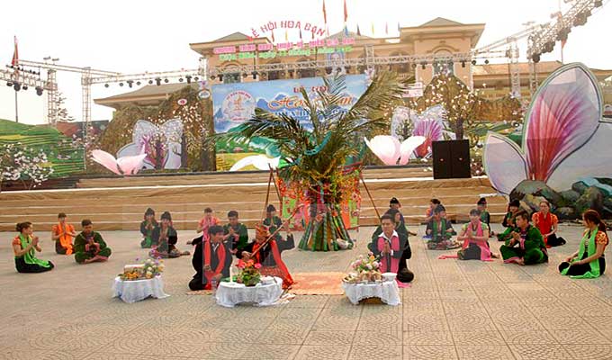 Laos, Thailand to join flower festival in Dien Bien
