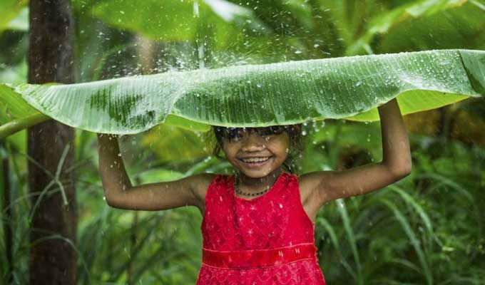 Viet Nam's beauty through French photographer’s eyes