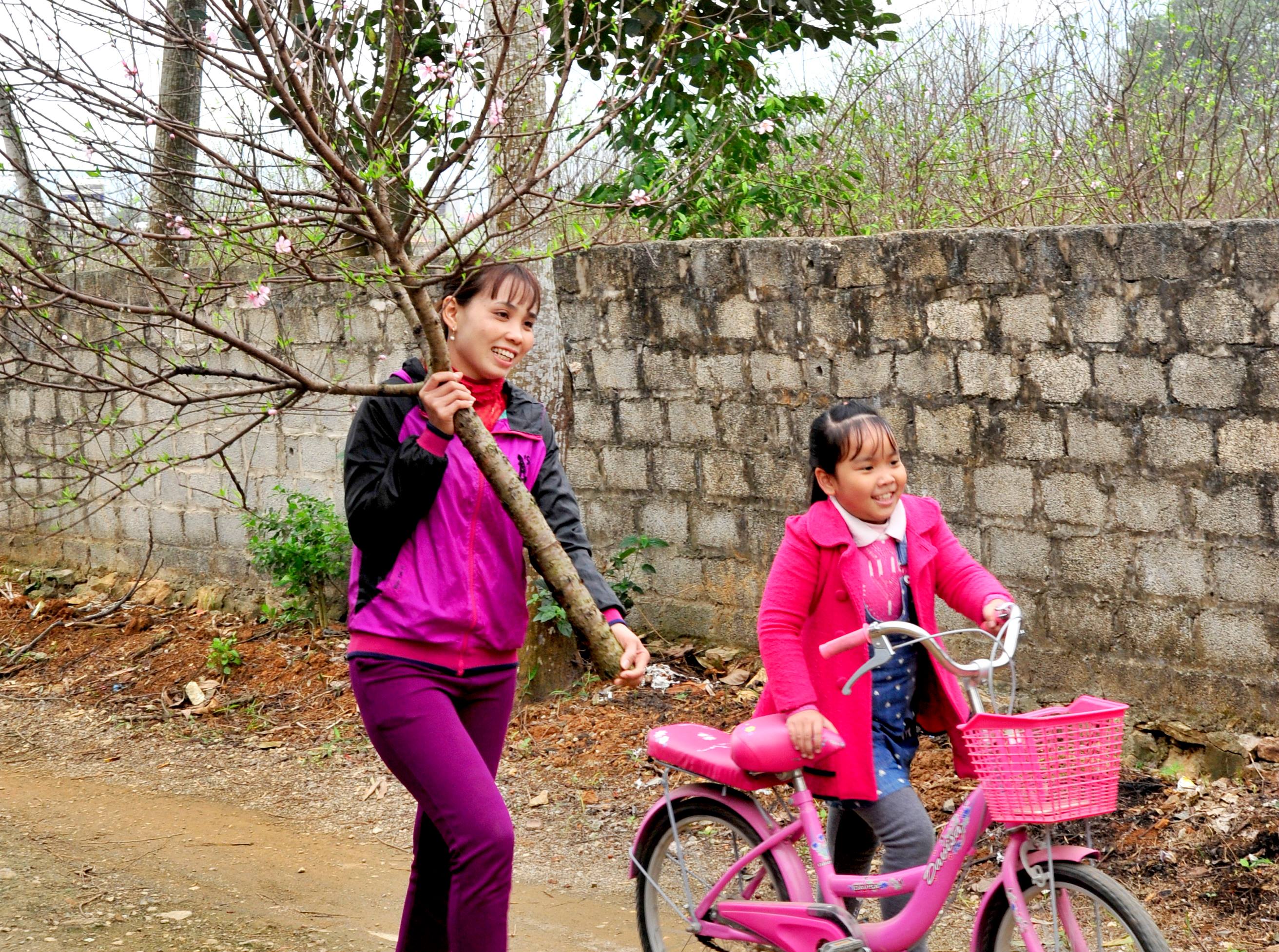 Vietnam’s tourism recovers after being severely affected by COVID-19