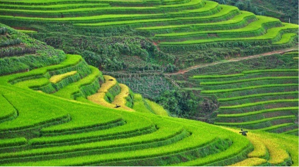 Sapa and Ninh Binh listed among up-and-coming destinations in Asia