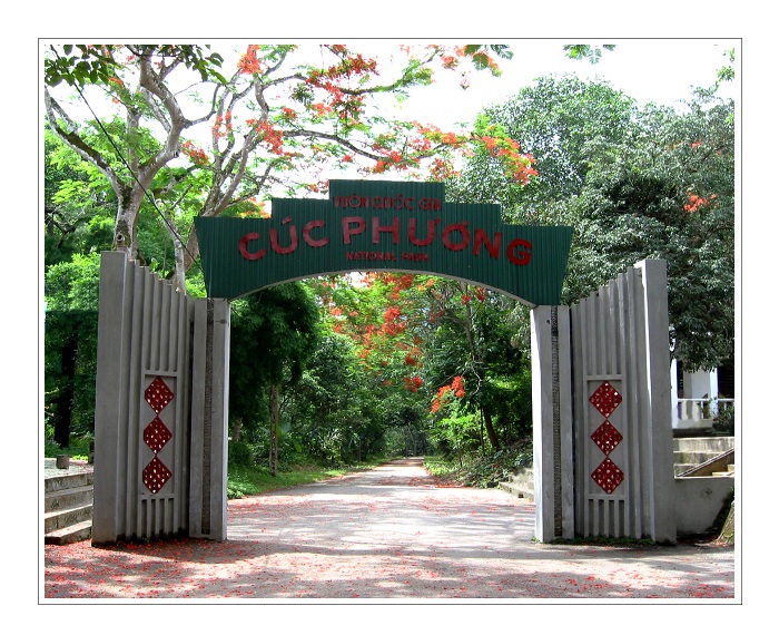 Spring walking in Ninh Binh at the beginning of the year of the Rat