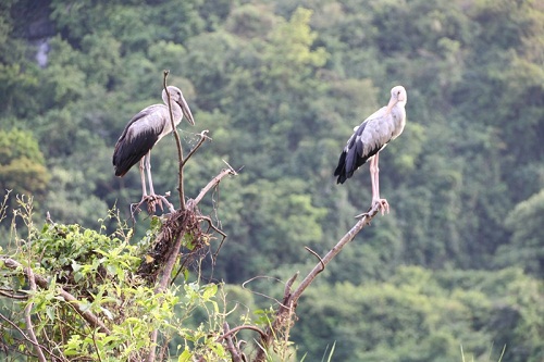 Ninh Binh signed a cooperation agreement to stimulate demand and promote domestic tourism growth in Nghe An