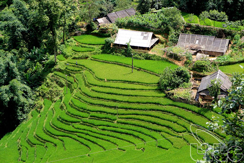 Experiencing many specific tourism activities in Lao Cai
