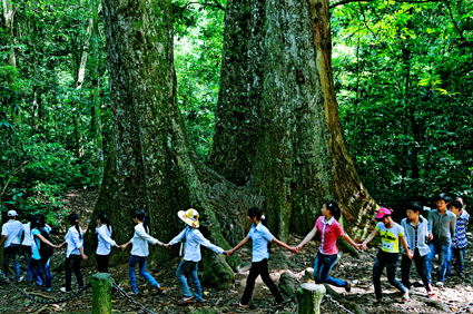 Escape the heat of summer, experience discovery travel at Cuc Phuong forest