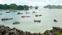Hai Phong to promote Cat Ba tourism