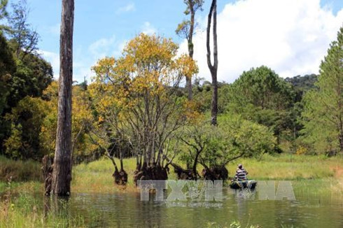 Lam Dong seeks first national tourism site title