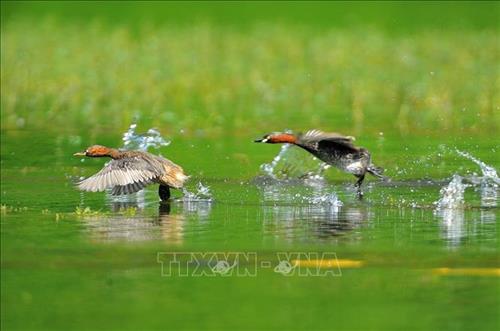 Ninh Binh strives to prepare for the National Tourism Year 2020