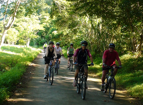 Immerse yourself in nature at Cuc Phuong National Park on the weekend
