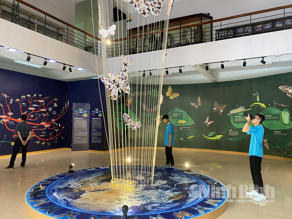 Discovering Cuc Phuong Museum