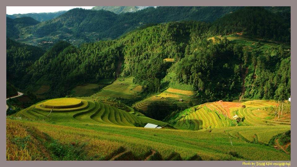 Culture-Tourism Week of Muong Lo and landscape of Mu Cang Chai terraced fields 2015