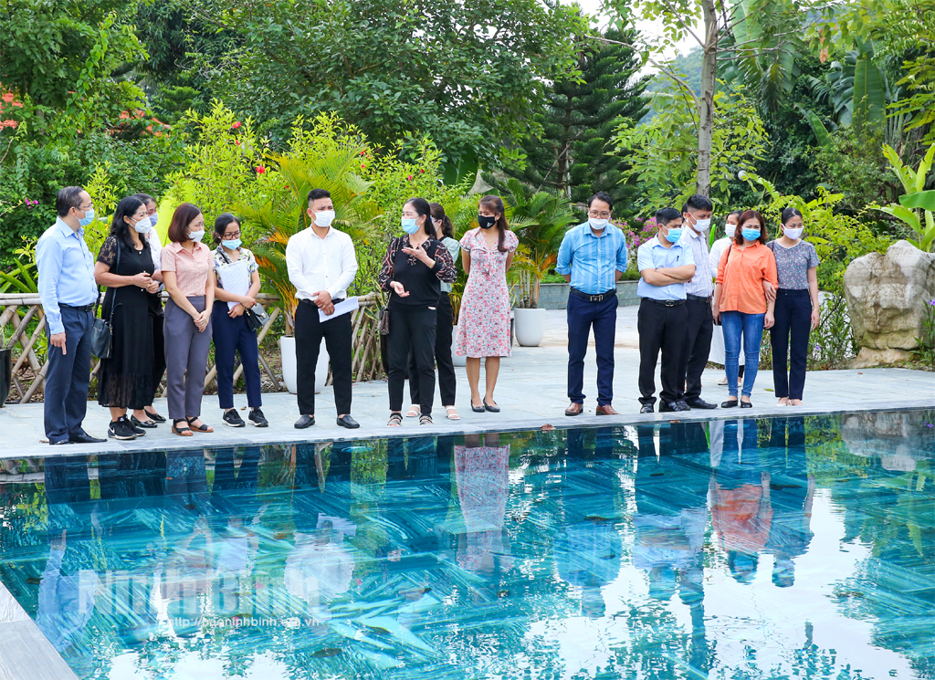 Ninh Binh strives to revive tourism in year-end months