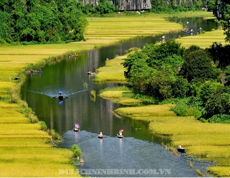 Establishing the Boards for the contest and photo exhibition of Vietnam Discovery