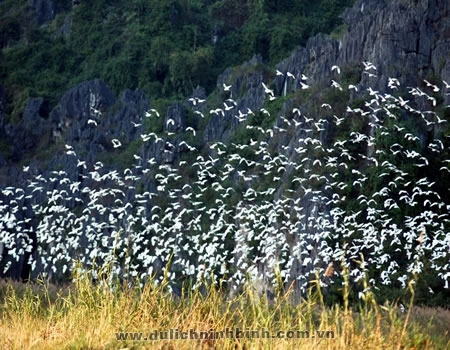 Relaxing weekend in Van Long – Kenh Ga tourism sites