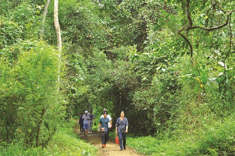 Cinq Parcs nationaux du Vietnam