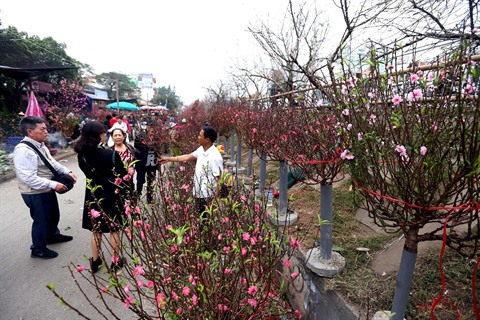 CNN: le marché aux fleurs de Quang Ba, une destination à ne pas manquer à l’occasion du Têt