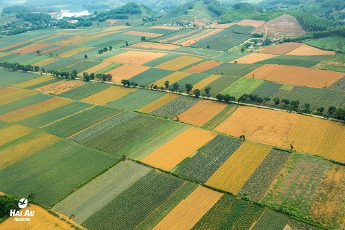 Ngắm vẻ đẹp Ninh Bình với dịch vụ thủy phi cơ của Hàng không Hải Âu