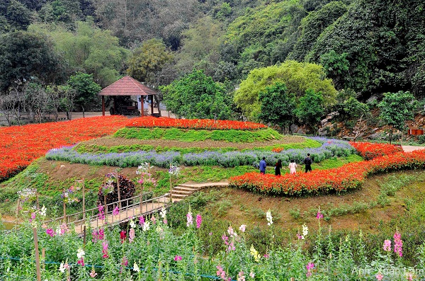 Ghé Thăm “Xứ Sở Các Loài Chim” Tại Khu Du Lịch Sinh Thái Thung Nham