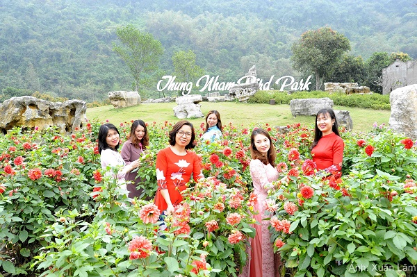 Rực rỡ Thiên đường hoa Thược dược tại Thung Nham