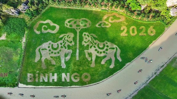 Cánh đồng nghệ thuật Tam Cốc 2026 sẵn sàng đón Tuần Du lịch Ninh Bình với tạo hình “Song mã chầu báo công”
